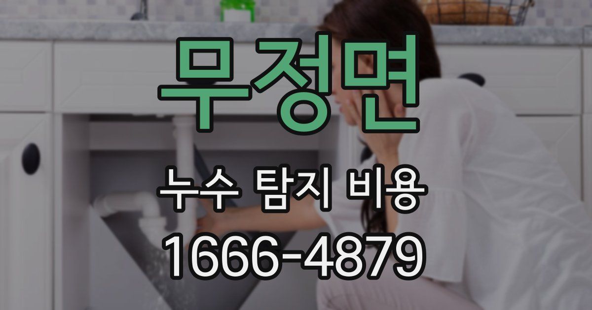무정면 누수 탐지 비용