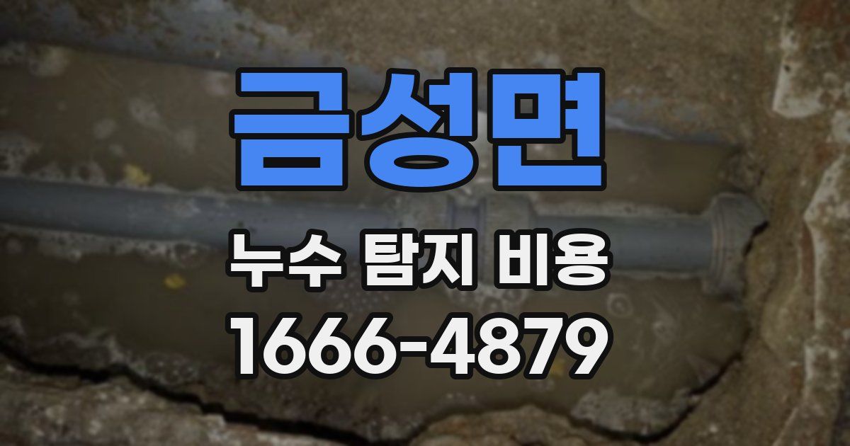 금성면 누수 탐지 비용