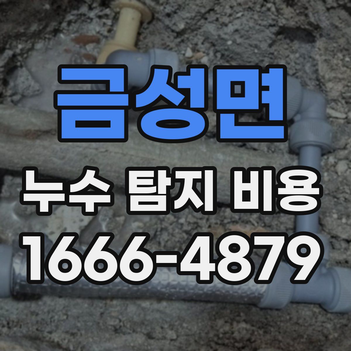 금성면 누수 탐지 비용