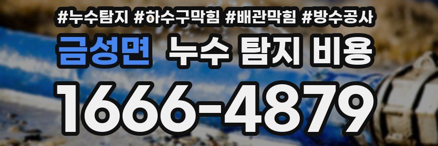 금성면 누수 탐지 비용