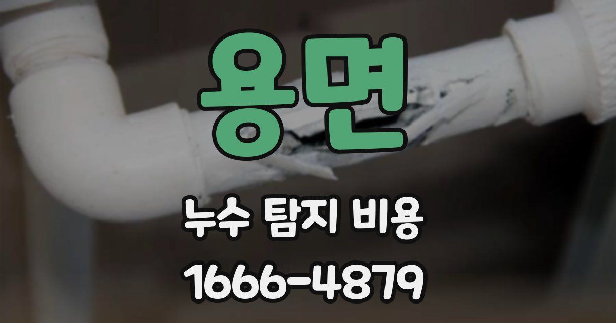 용면 누수 탐지 비용