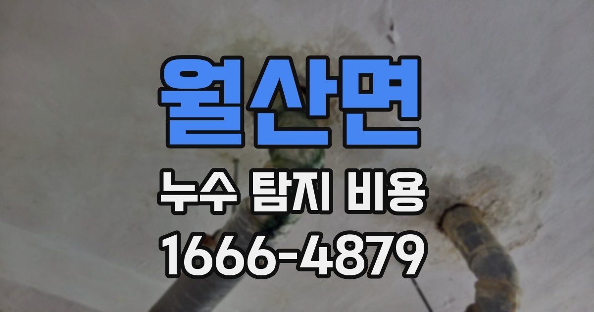 월산면 누수 탐지 비용