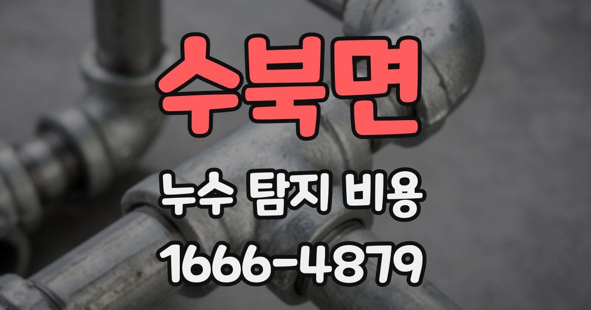 수북면 누수 탐지 비용