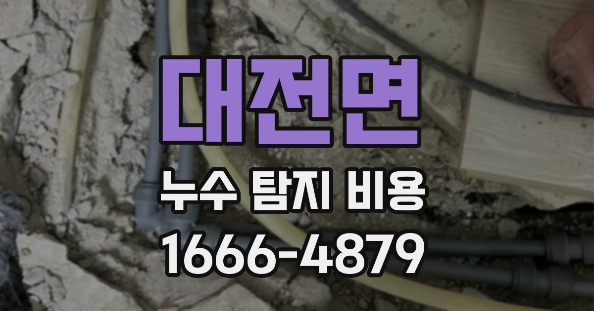 대전면 누수 탐지 비용