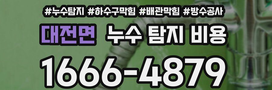 대전면 누수 탐지 비용