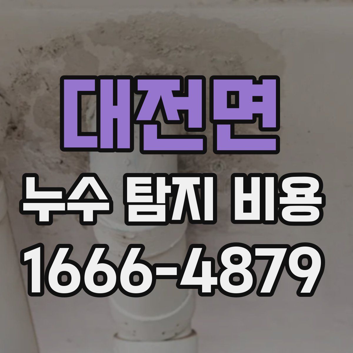 대전면 누수 탐지 비용