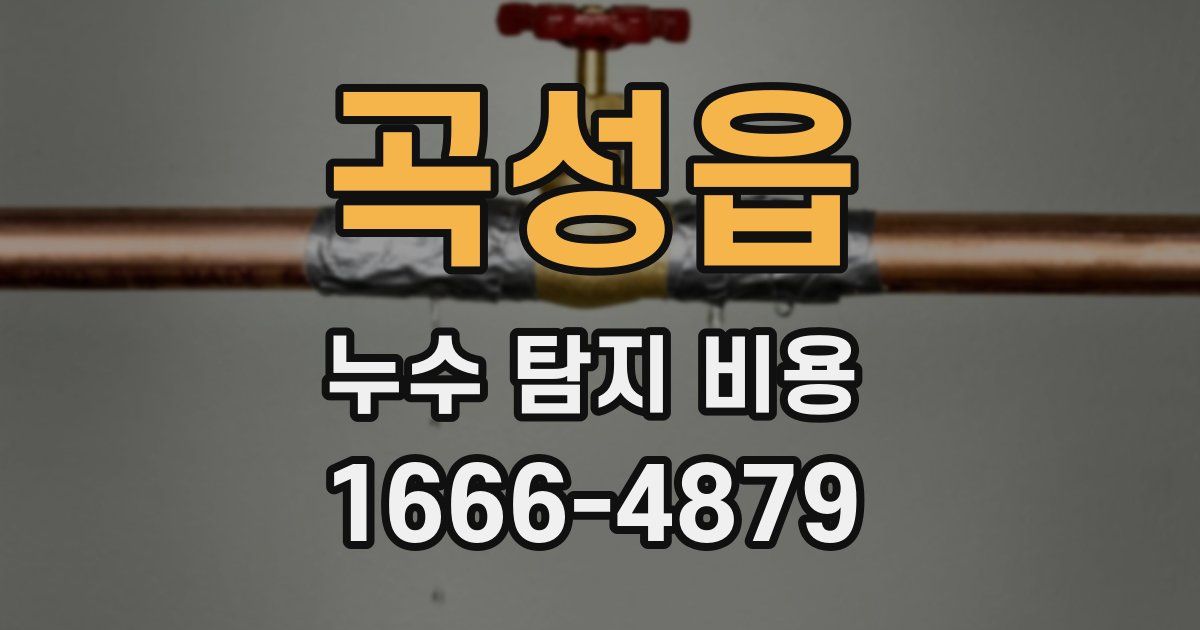 곡성읍 누수 탐지 비용