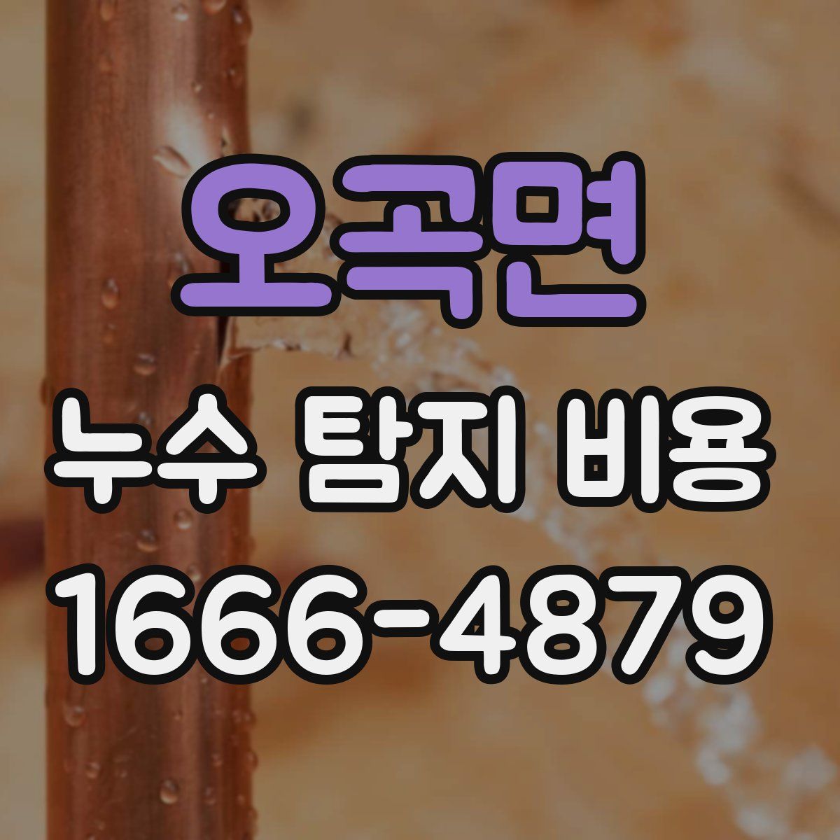 오곡면 누수 탐지 비용