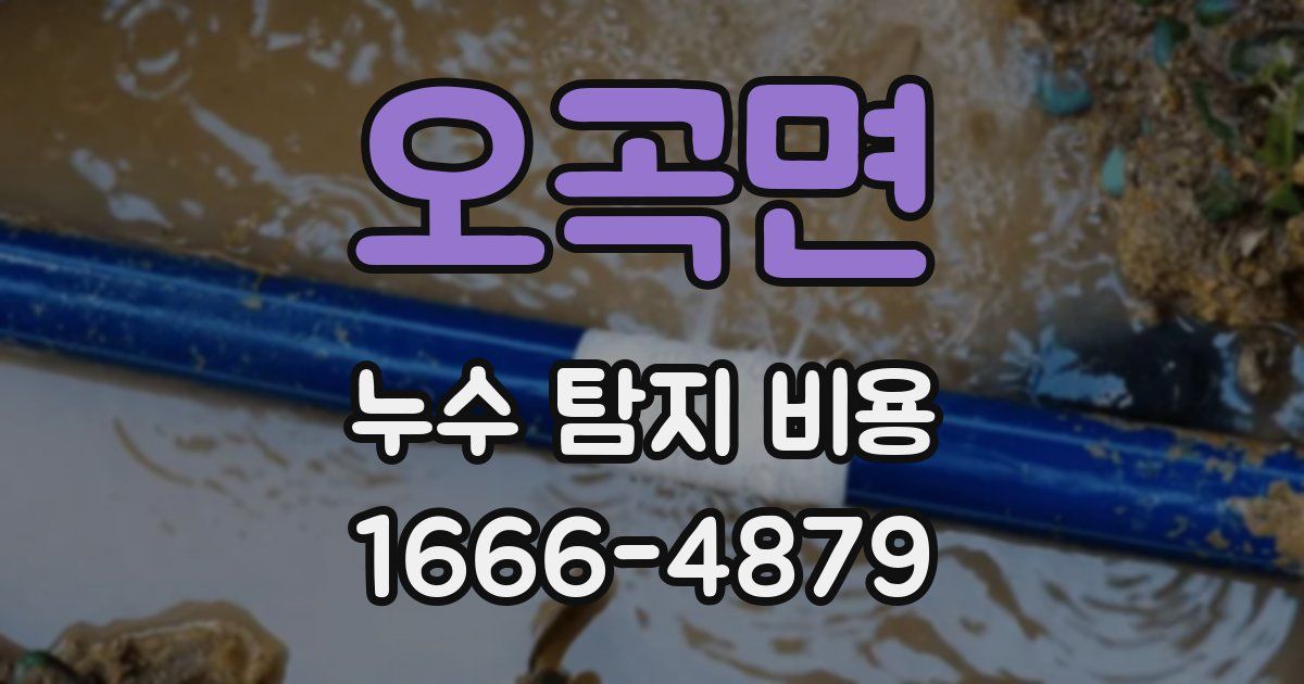 오곡면 누수 탐지 비용