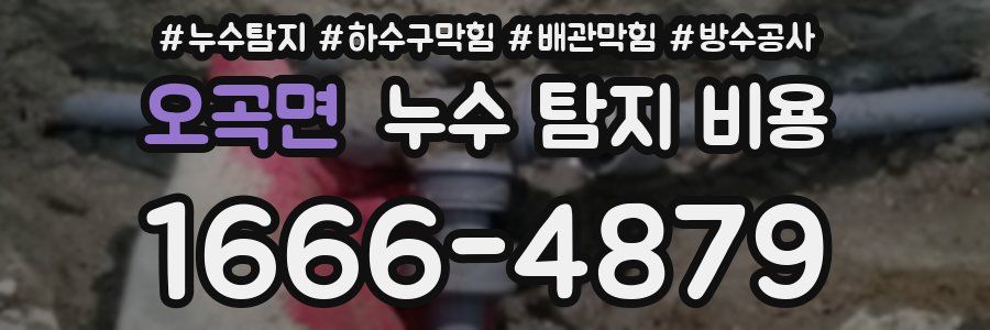 오곡면 누수 탐지 비용