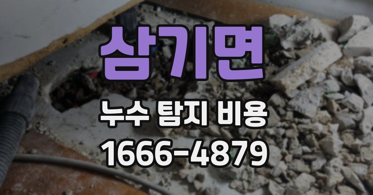 삼기면 누수 탐지 비용