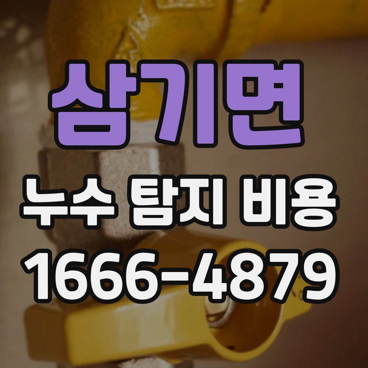 삼기면 누수 탐지 비용
