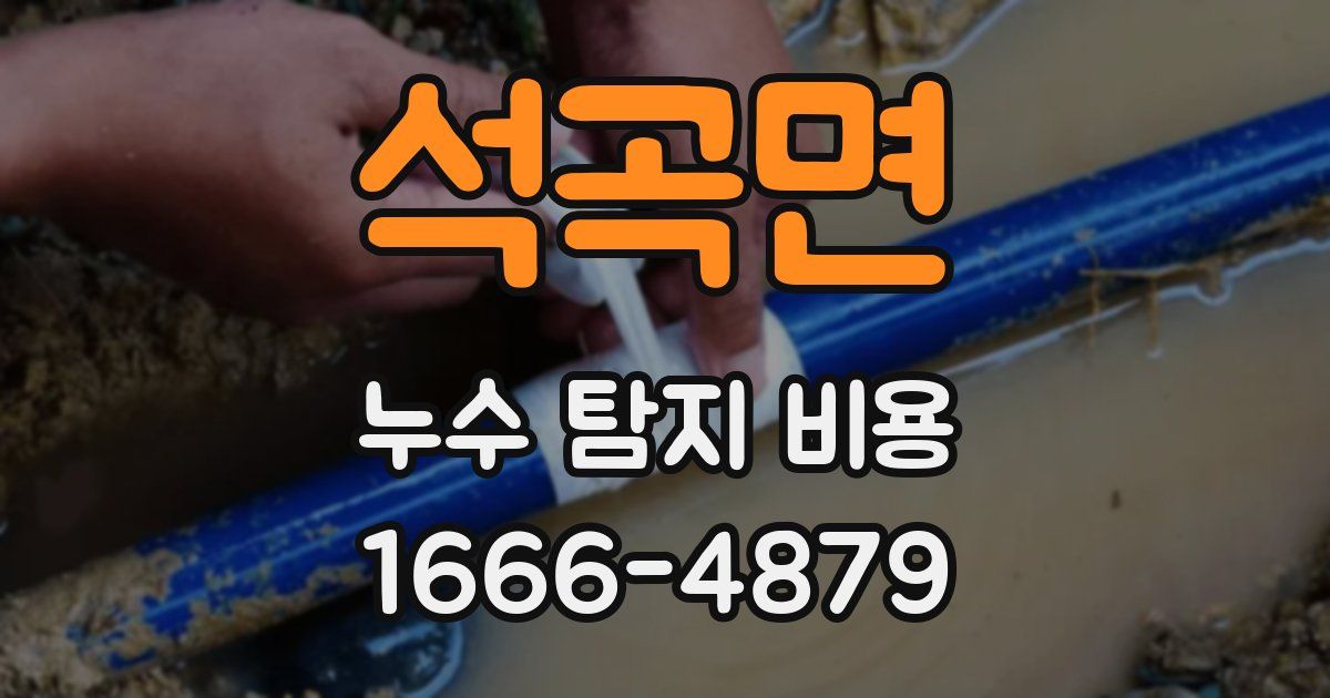 석곡면 누수 탐지 비용