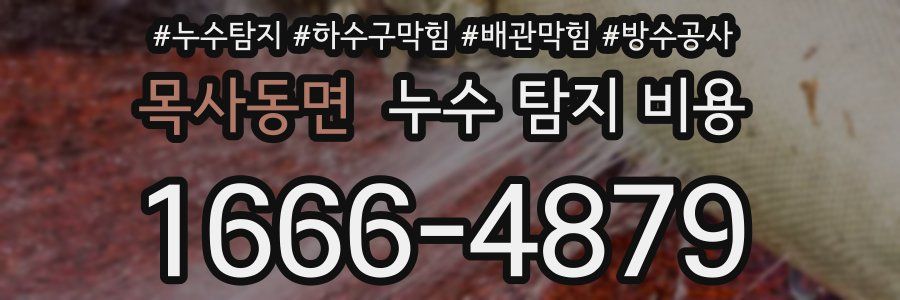 목사동면 누수 탐지 비용