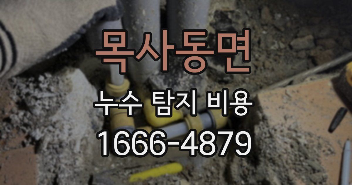 목사동면 누수 탐지 비용