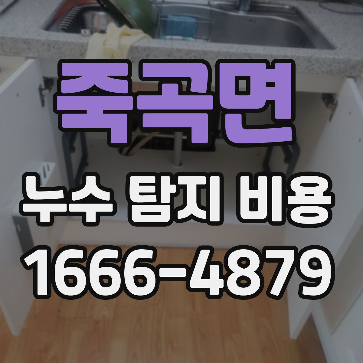 죽곡면 누수 탐지 비용