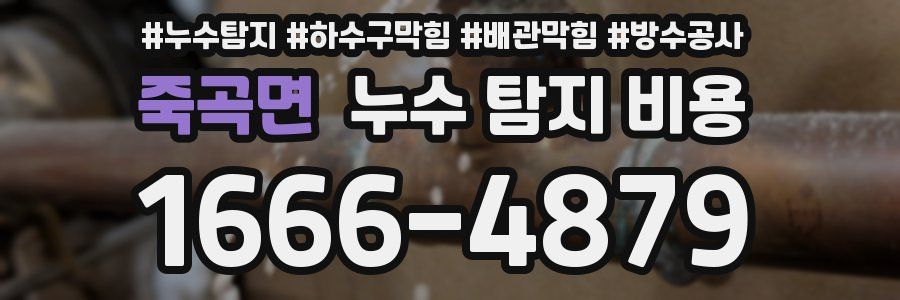 죽곡면 누수 탐지 비용