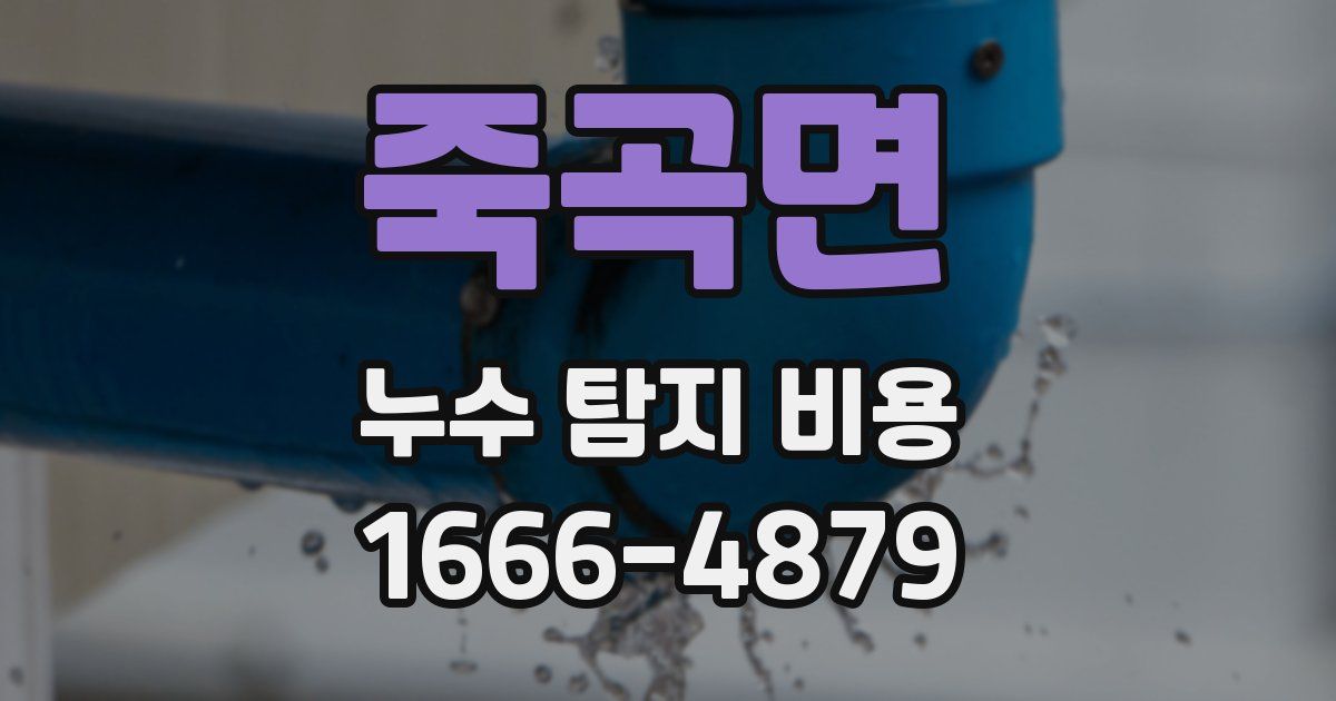 죽곡면 누수 탐지 비용
