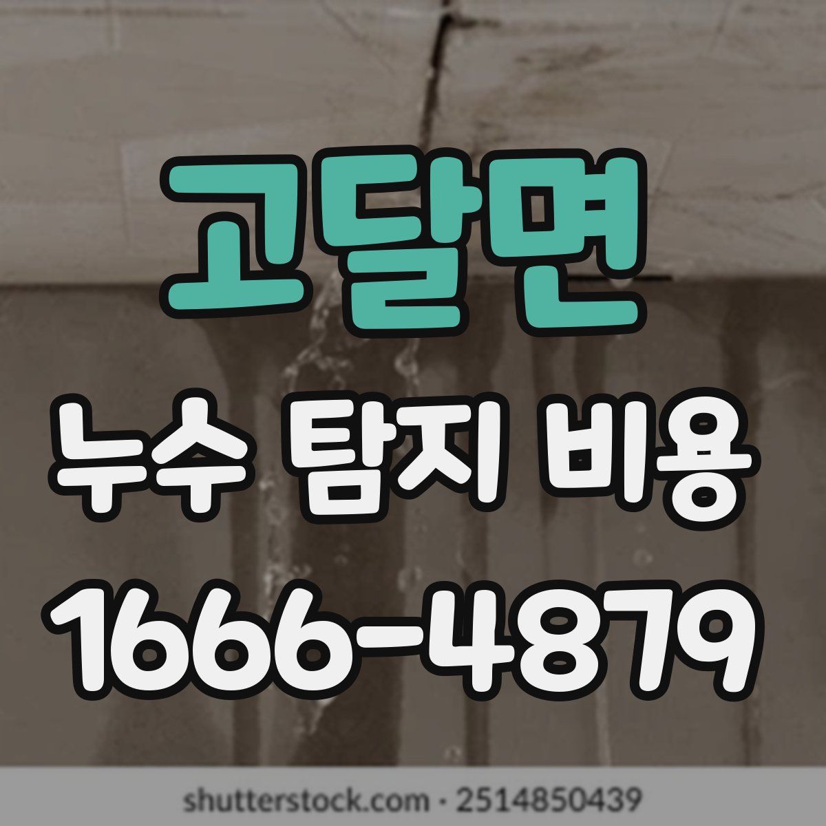 고달면 누수 탐지 비용
