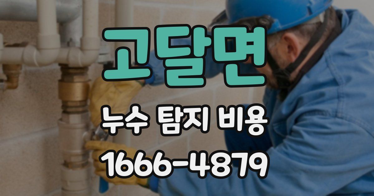고달면 누수 탐지 비용