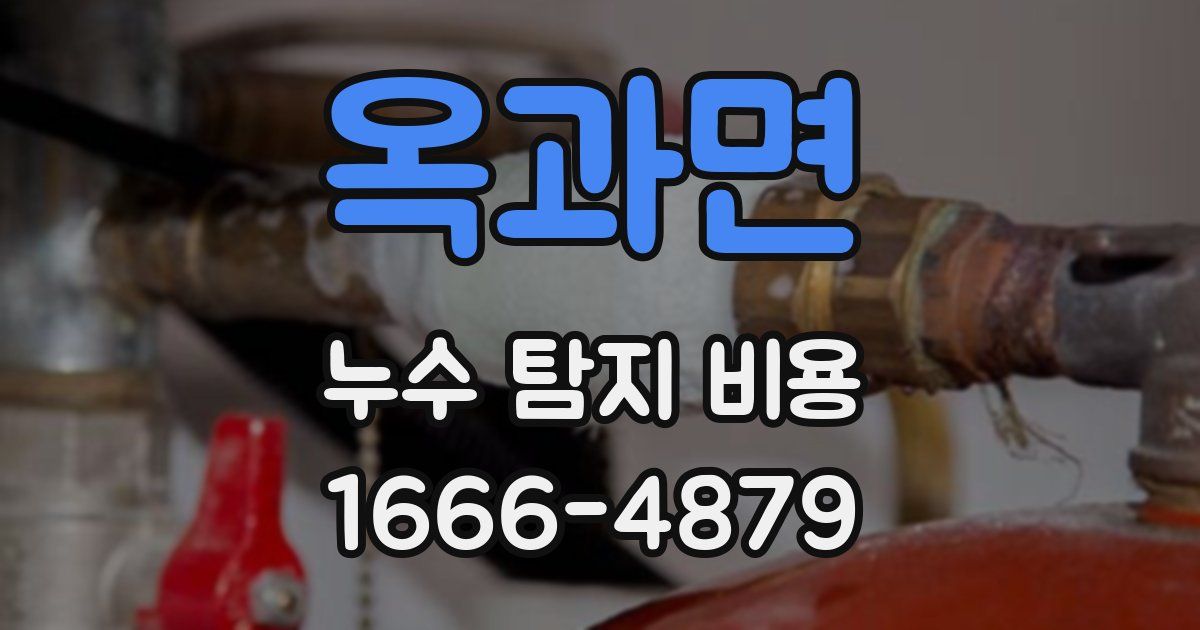 옥과면 누수 탐지 비용