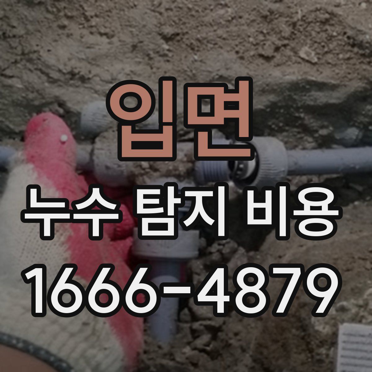 입면 누수 탐지 비용