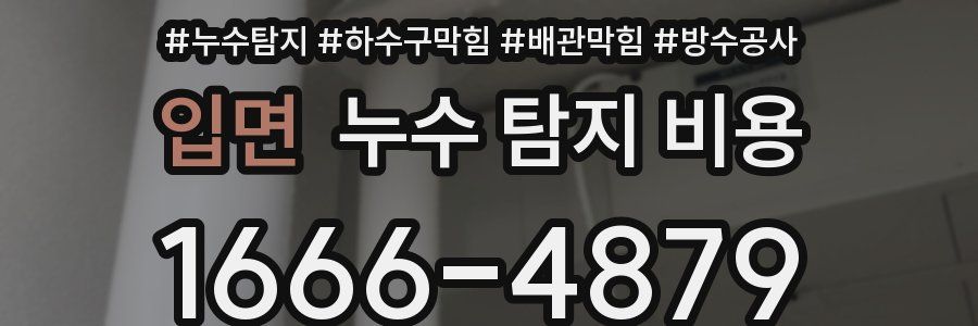 입면 누수 탐지 비용