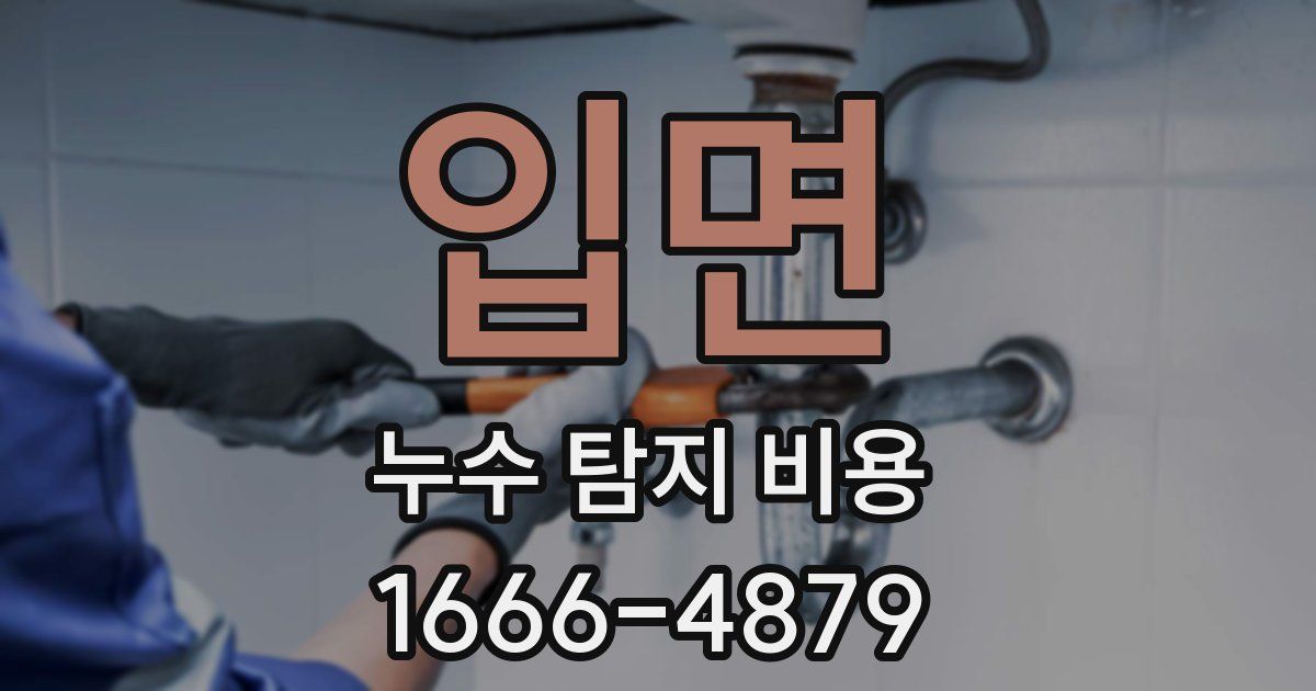 입면 누수 탐지 비용
