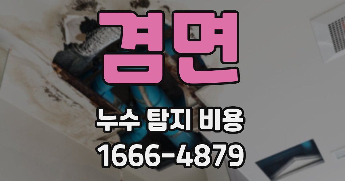 겸면 누수 탐지 비용