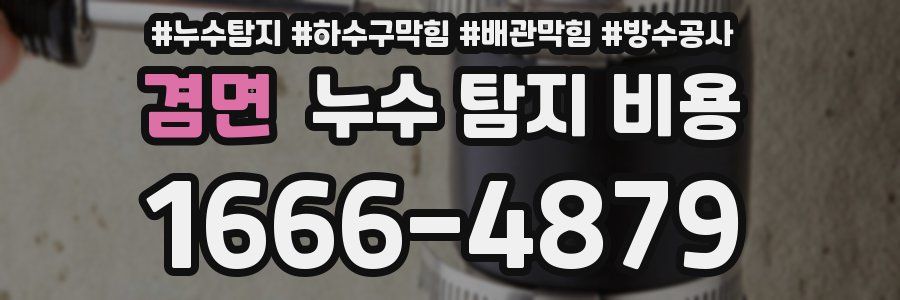 겸면 누수 탐지 비용