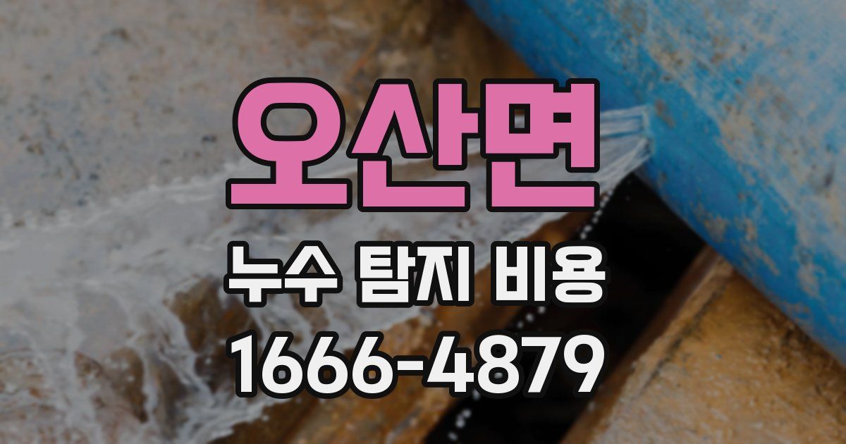오산면 누수 탐지 비용