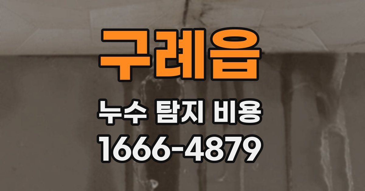 구례읍 누수 탐지 비용