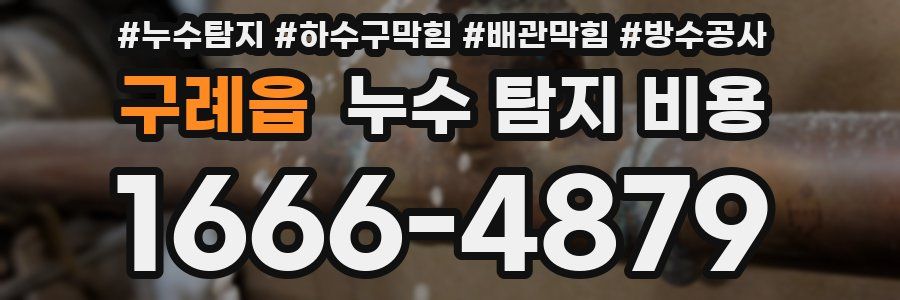 구례읍 누수 탐지 비용