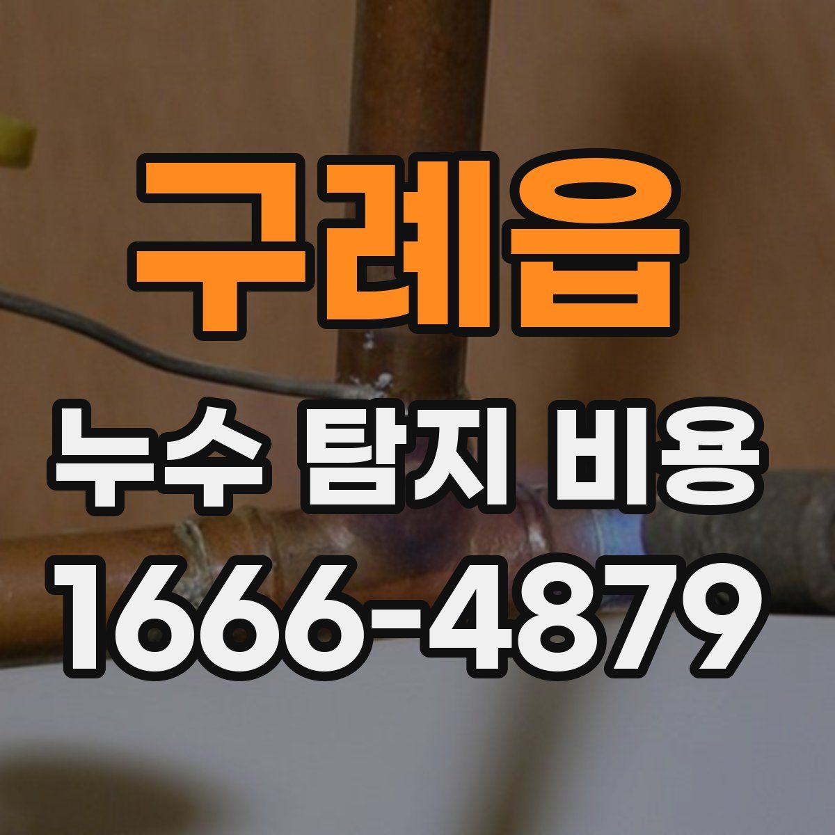 구례읍 누수 탐지 비용