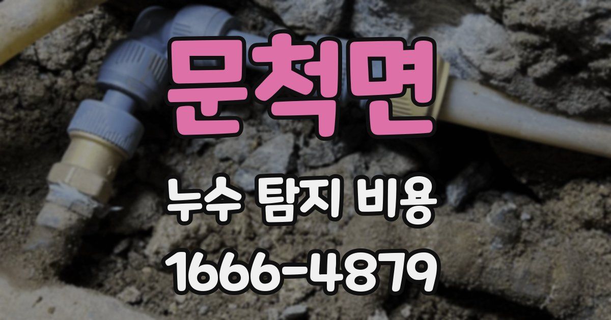 문척면 누수 탐지 비용