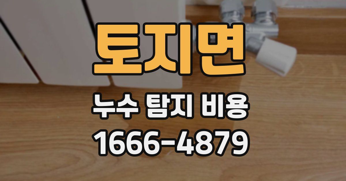 토지면 누수 탐지 비용