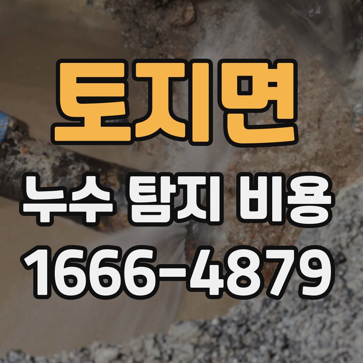 토지면 누수 탐지 비용