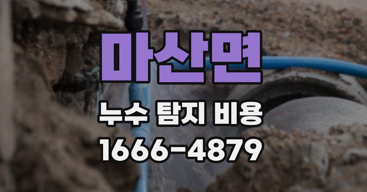 마산면 누수 탐지 비용