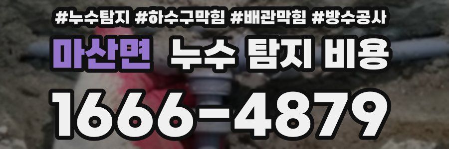 마산면 누수 탐지 비용