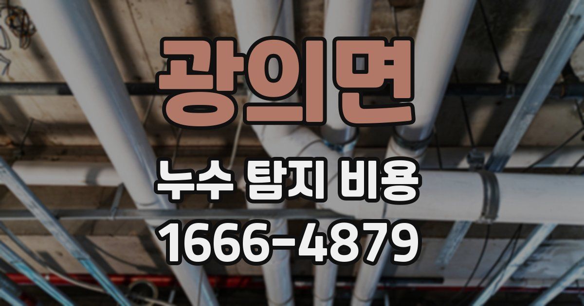 광의면 누수 탐지 비용