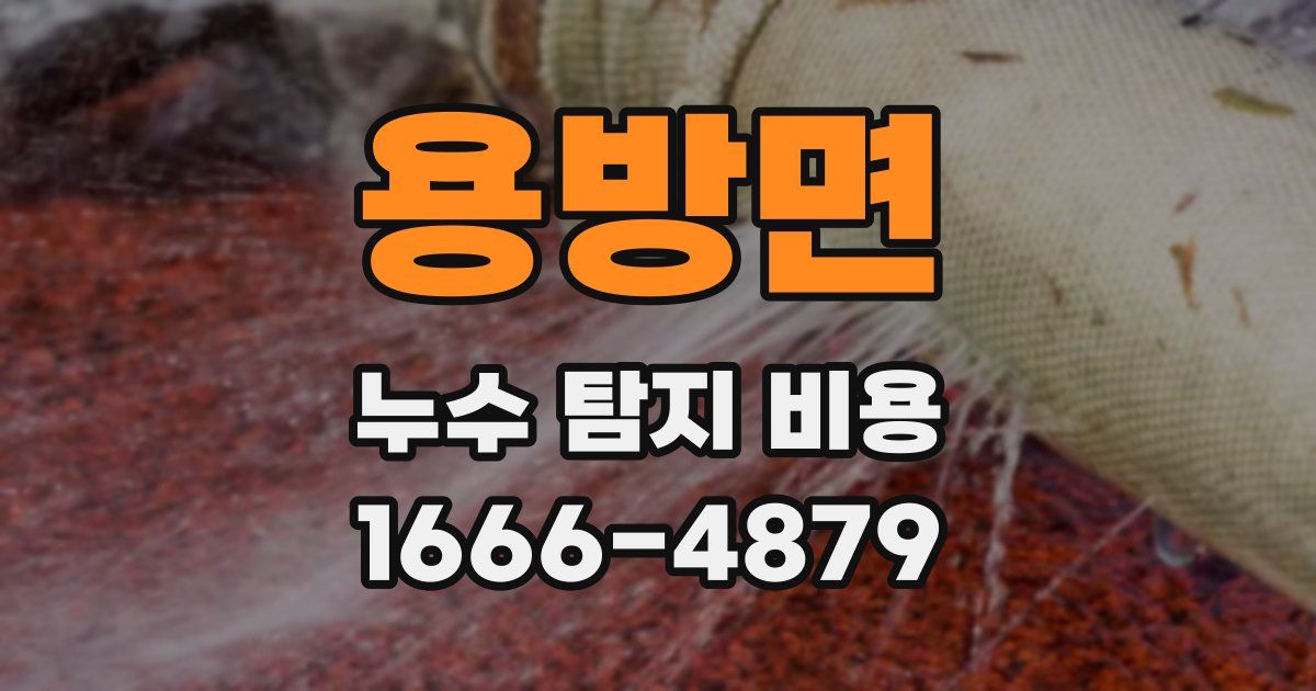 용방면 누수 탐지 비용