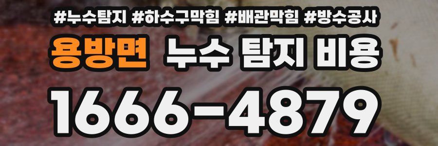용방면 누수 탐지 비용