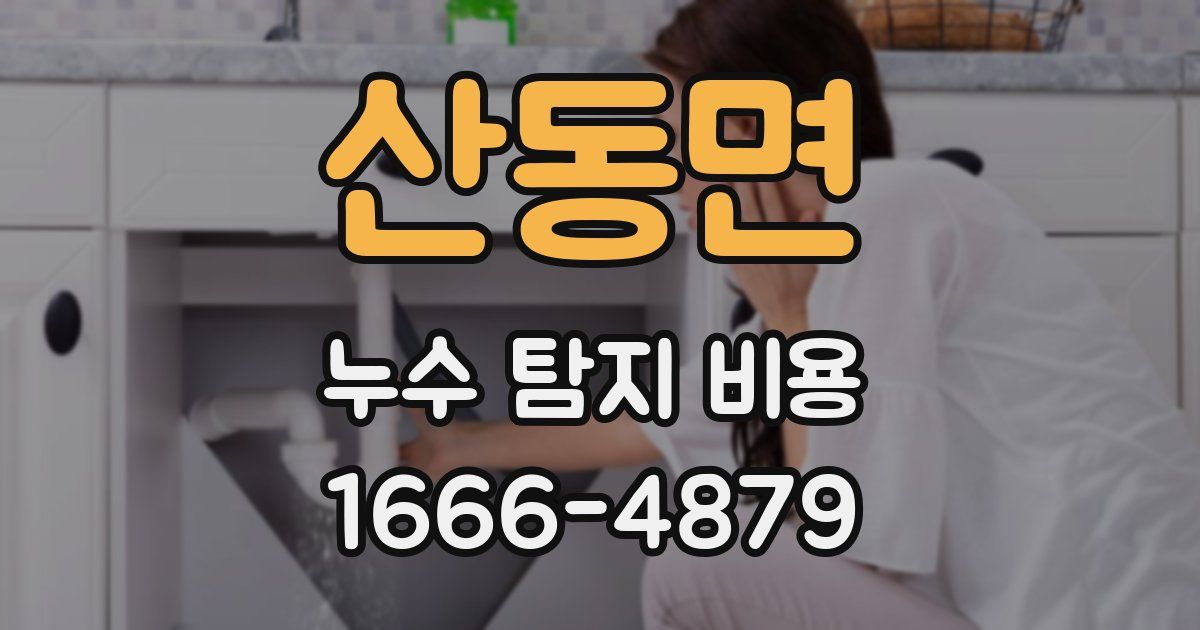 산동면 누수 탐지 비용