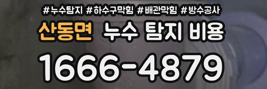 산동면 누수 탐지 비용