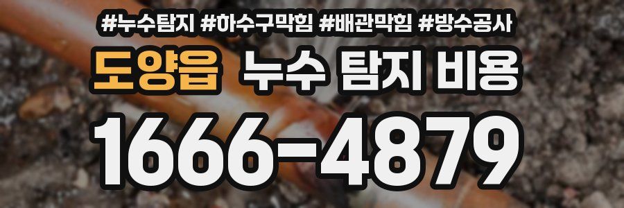 도양읍 누수 탐지 비용