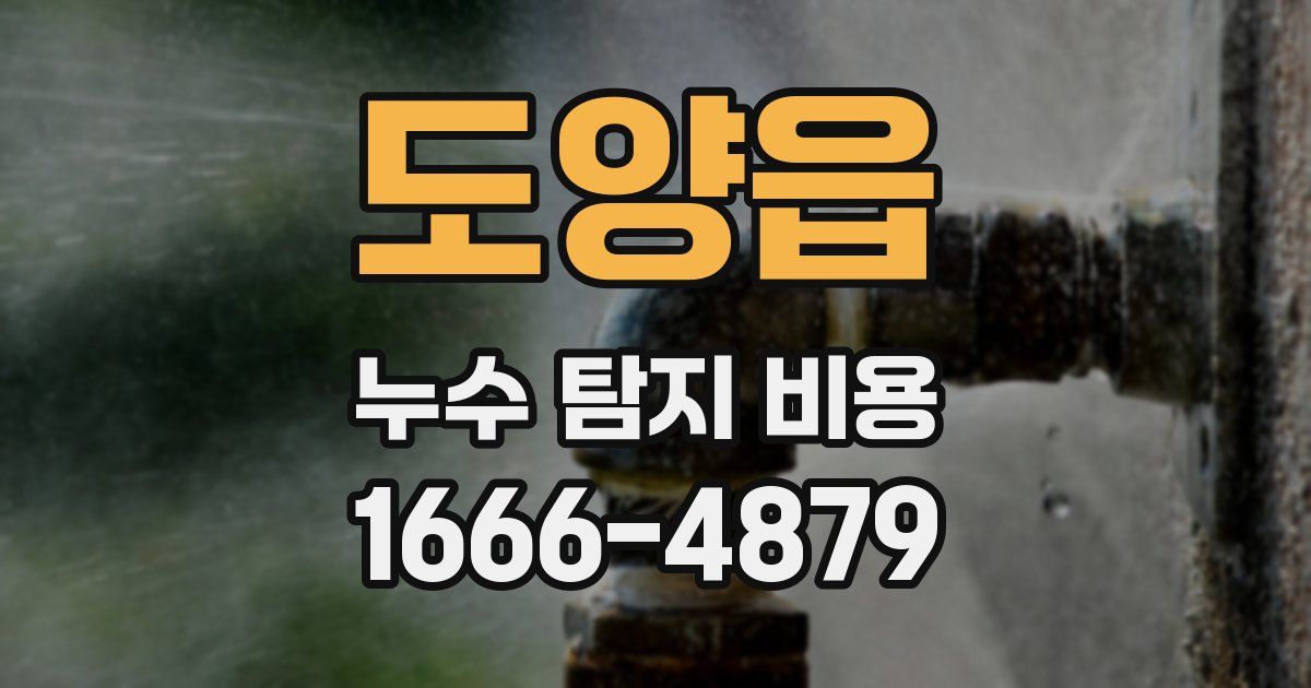 도양읍 누수 탐지 비용