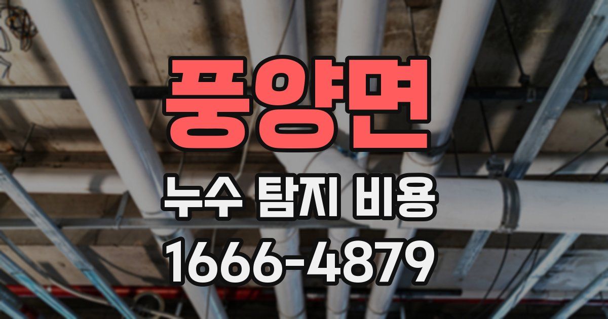 풍양면 누수 탐지 비용