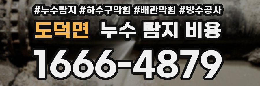 도덕면 누수 탐지 비용