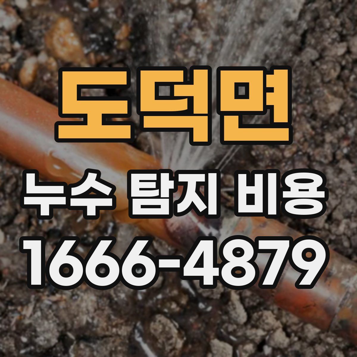 도덕면 누수 탐지 비용