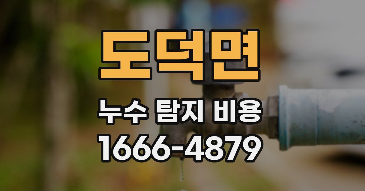 도덕면 누수 탐지 비용